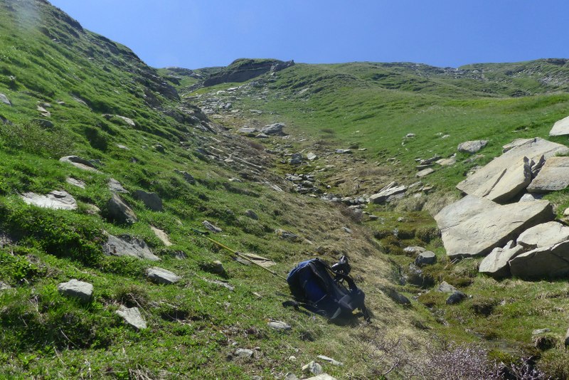 La Nigritella widderi a Pizzo di Sevo e Cima Lepri  -  luglio 2025